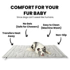 Dog lying on a mat with features d