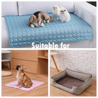 Dog beds and mats in various settings 