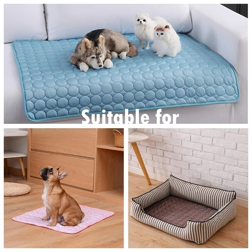 Dog beds and mats in various settings 